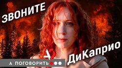 Кто спасёт сибирские леса от пожара? Кто спасёт сибирские леса от пожара?