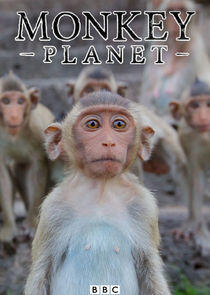 Monkey Planet Monkey Planet