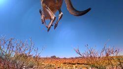 Defying Gravity Defying Gravity
