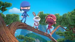 Cottontail Ninja Cottontail Ninja