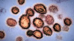 This Pandemic This Pandemic
