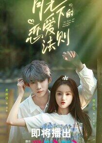 The Rules of Love Under the Moonlight The Rules of Love Under the Moonlight