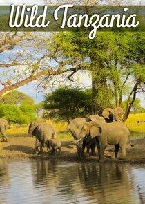 Wild Tanzania Wild Tanzania