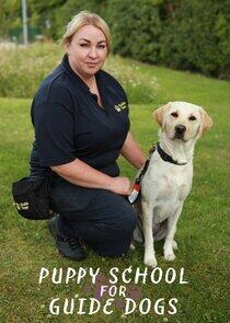Puppy School for Guide Dogs Puppy School for Guide Dogs