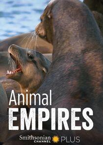 Animal Empires - Season 1 Animal Empires - Season 1