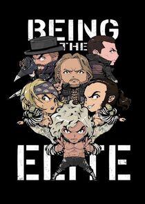 Being The Elite Being The Elite