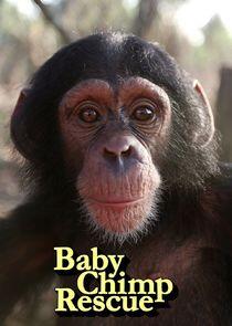Baby Chimp Rescue Baby Chimp Rescue