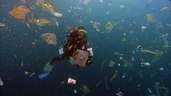 Taking Aim at Opioids | Plastic Plague Taking Aim at Opioids | Plastic Plague