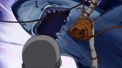 Clash! Buffalo vs. Great White Shark Clash! Buffalo vs. Great White Shark
