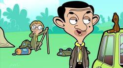 Scout Bean Scout Bean