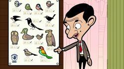 Rare Bird Rare Bird
