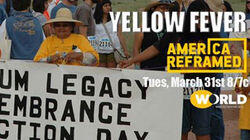 Yellow Fever Yellow Fever