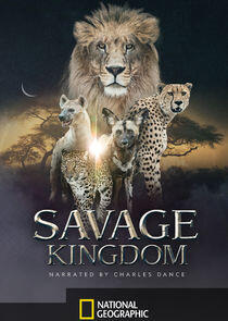 Savage Kingdom Savage Kingdom