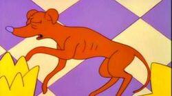 Dog of Death Dog of Death