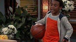 Basket Case Basket Case
