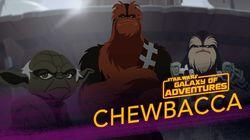 Chewbacca - Wookiee Warrior Chewbacca - Wookiee Warrior
