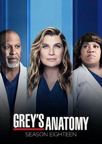 Grey's Anatomy - Season 18 Grey's Anatomy - Season 18