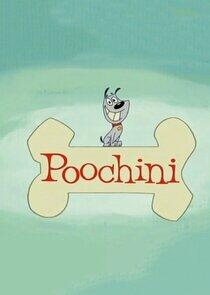Poochini Poochini