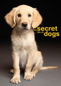 The Secret Life of... The Secret Life of...