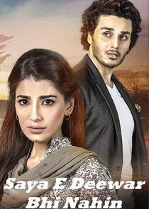 Saya-E-Deewaar Bhi Nahin Saya-E-Deewaar Bhi Nahin
