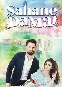 Şahane Damat Şahane Damat