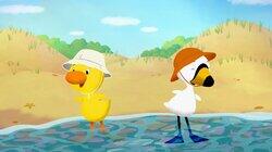 Duck & Goose Go to the Beach Duck & Goose Go to the Beach