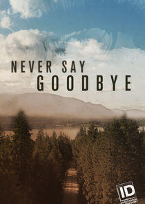 Never Say Goodbye Never Say Goodbye
