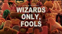 Wizards Only, Fools Wizards Only, Fools