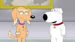 Boy (Dog) Meets Girl (Dog) Boy (Dog) Meets Girl (Dog)