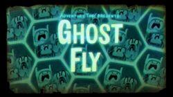 Ghost Fly Ghost Fly