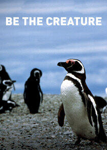 Be the Creature Be the Creature