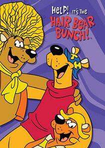 Help! It's the Hair Bear Bunch Help! It's the Hair Bear Bunch