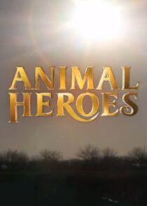 Animal Heroes Animal Heroes