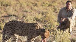 Africa Africa