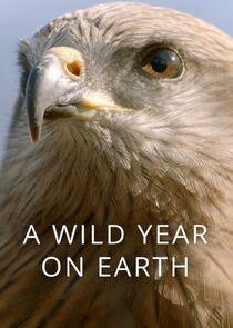A Wild Year on Earth - Season 1 A Wild Year on Earth - Season 1