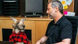 Judd Apatow Gets Fired Judd Apatow Gets Fired
