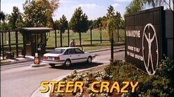 Steer Crazy Steer Crazy