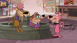 It's a Mad, Mad, Mad Rat Race It's a Mad, Mad, Mad Rat Race