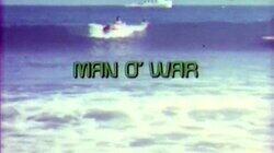 Man O'War Man O'War