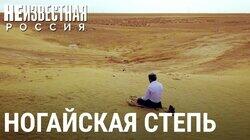 Ногайская степь Ногайская степь