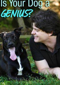 Is Your Dog a Genius? Is Your Dog a Genius?