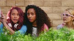 The New Girl The New Girl