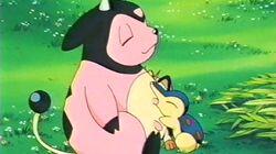 Got Miltank? Got Miltank?