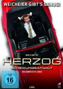 Herzog: Scheidungsanwalt - Season 1