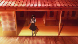 The Time Traveling Girl The Time Traveling Girl