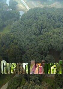Green Animal Green Animal