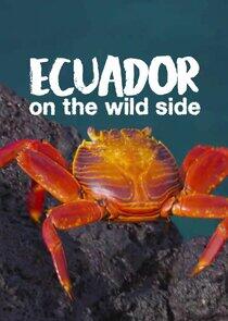 Ecuador: On the Wild Side Ecuador: On the Wild Side
