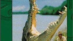 Croc People Croc People