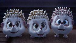 Hedgehog Sitters Club Hedgehog Sitters Club