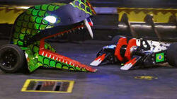 Let the Big Bot Battle Begin Let the Big Bot Battle Begin
